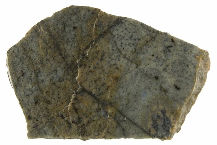 Rare, Lunar Basaltic Breccia Meteorite ( g) Slice - NWA #308388